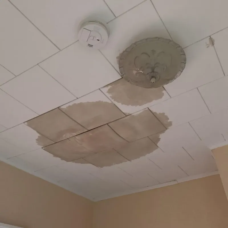 Ceiling Water Damage Repair in Love County, OK