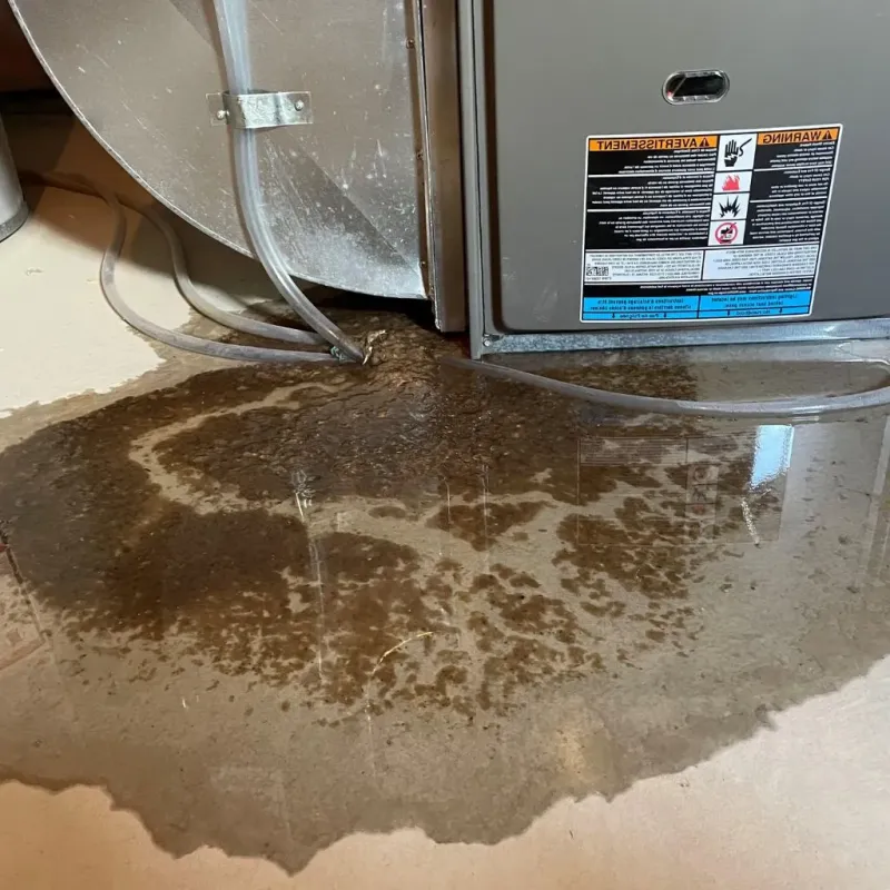 Pipe Burst and Leak Restoration in Love County, OK