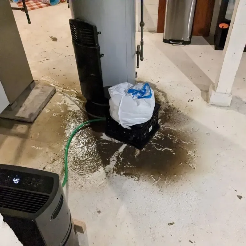 Sewage Backup Cleanup Service in Love County, OK